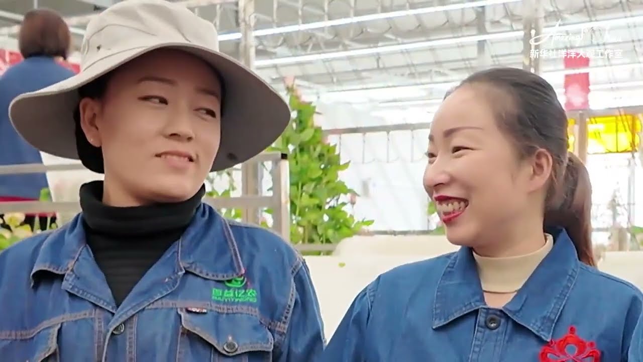 #ChineIncroyable | Des champs d'espoir : le développement rural chinois à l'échelle mondiale