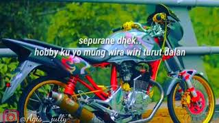 quotes tiger herex.  buat story wa