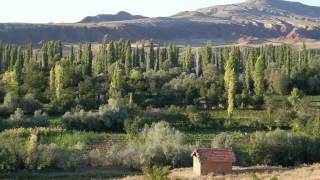 Sungurlu Yörüklü Beldesi̇