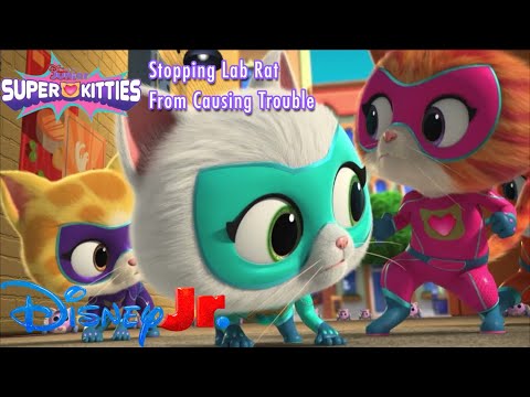 SuperKitties - Stopping Lab Rat From Causing Trouble