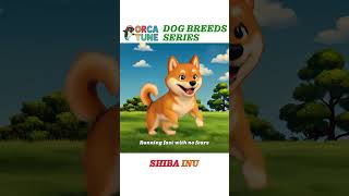 Shiba Inu Being Adorable 🐾 | Cutest Dog Video Ever!