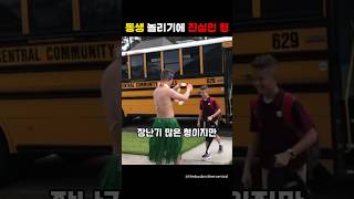 동생을 놀리기위해 매일 커스튬하는 형