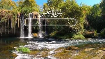 سورة عبس - تلاوة خاشعة#القرآن #quran #القرآن_الكريم #الله