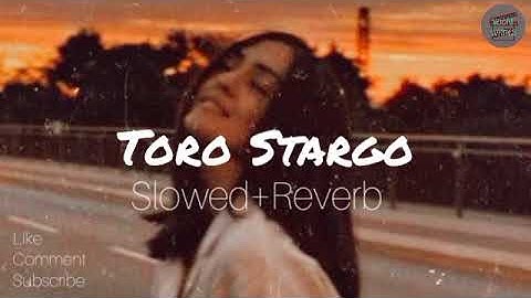 Toro Stargo (slowed+reverb) | Alizeh khan | Pashto New Song | Afghani |