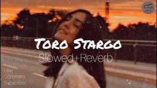 Toro Stargo (slowed reverb) | Alizeh khan | Pashto New Song | Afghani |