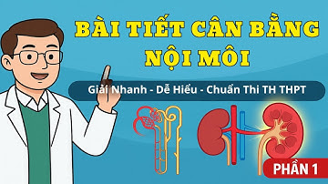 BÀI TIẾT & CÂN BẰNG NỘI MÔI – PHẦN 1 | Giải Chi Tiết Lý Thuyết & Trắc Nghiệm Sinh 12 Dễ Hiểu Nhất