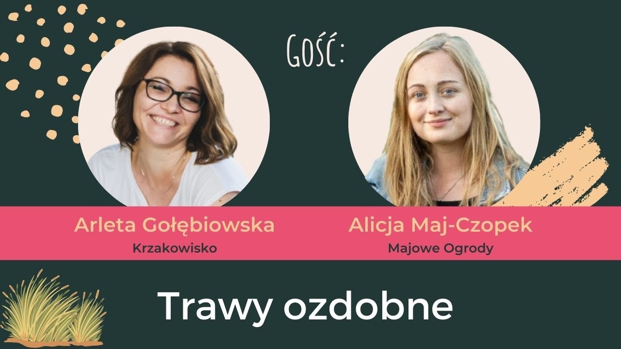 Vademecum TRAW ozdobnych: Od A do Z z Alicją Maj-Czopek | Sprawdzone gatunki i kompozycje