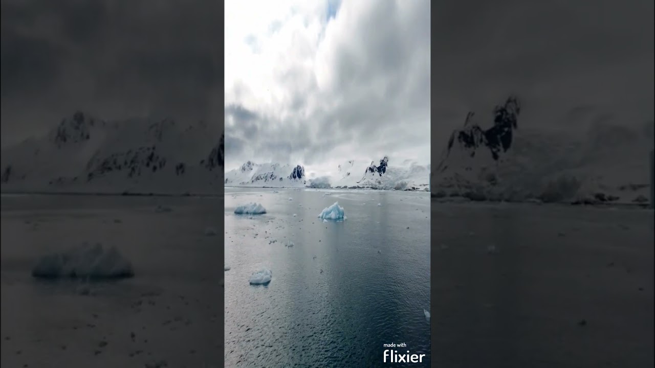 Incognito Longyearbyen 🇳🇴 #shorts #youtubeshorts #viral #trending #short #travel #explore #svalbard