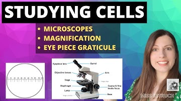 How to study cells - Microscopes, magnification and calibrating the eyepiece graticule