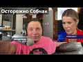 В ондатровый полдень.Прессуху обсуждаем.