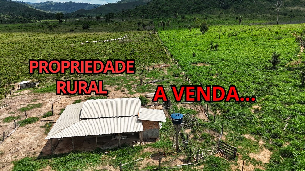 Ótima pra criar gado leiteiro e planta cacau, açaí! Propriedade RURAL de 12.5 alqueires. 60,5 hactar