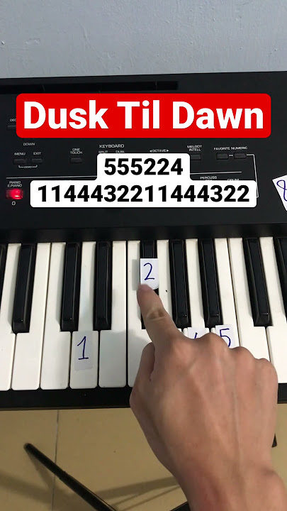 Dusk Til Dawn| Easy piano tutorial #piano #pianotutorial #shorts #dusktilldawn #pianoeasy