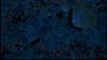 Myconid Grove Living Battlemap