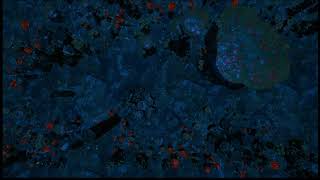 Myconid Grove Living Battlemap