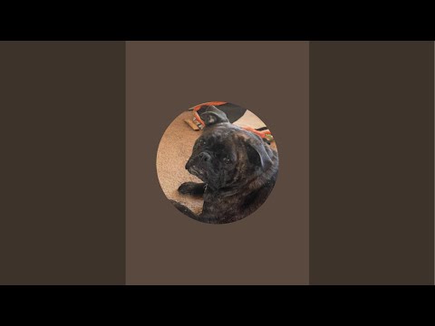 Roscoe Tha Famous