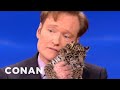 Animal Expert David Mizejewski: Baby Jaguars & Binturong - CONAN on TBS