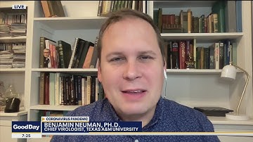 Coronavirus expert puts omicron variant into perspective