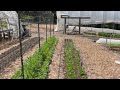 Live Garden Tour Q and A uh is live!