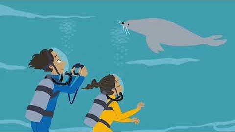 beehive story video unit 6