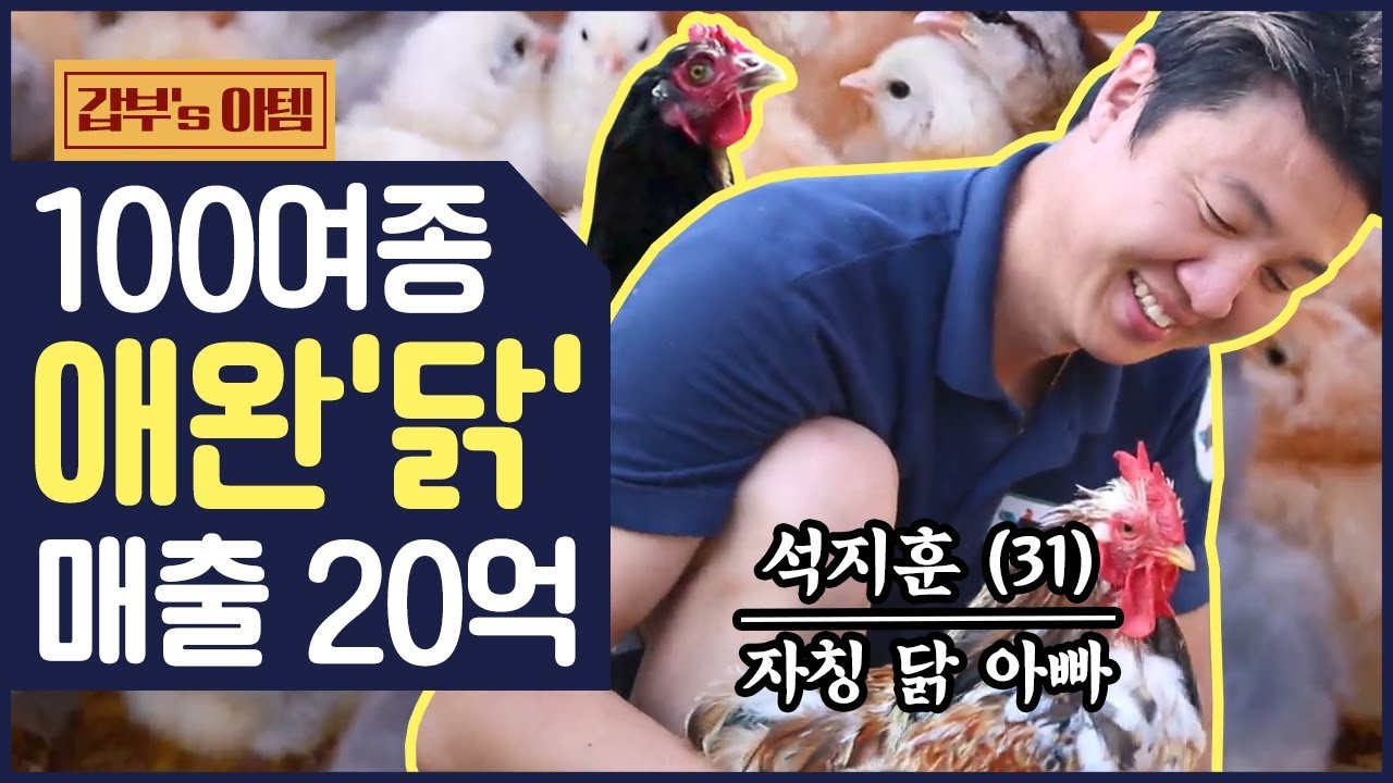 [갑부's 아템] 애완용 '닭' 농장으로 연매출 20억! 세상 화려한 닭&우주 귀요미 병아리 총출동 | 서민갑부