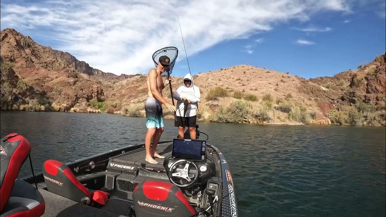 Spro Frog ONLY Tournament At Lake Havasu! YouTube