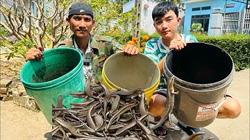 Thưởng Thức Rắn Mối Nướng Lá Lốt - Toàn Đen Sơn Dược Vlog