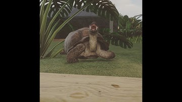 Planet  Zoo - Galapagos Giant Tortoise Habitat  🐢- Speed Build