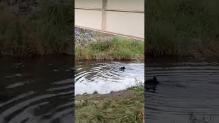 Сахалинский рыбнадзор #сахалин #fishing #рыбалканаозере