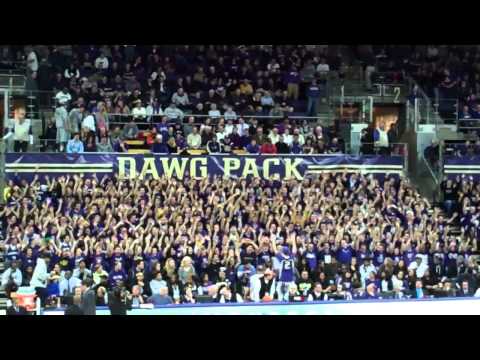 UW Dawg Pack Roller Coaster