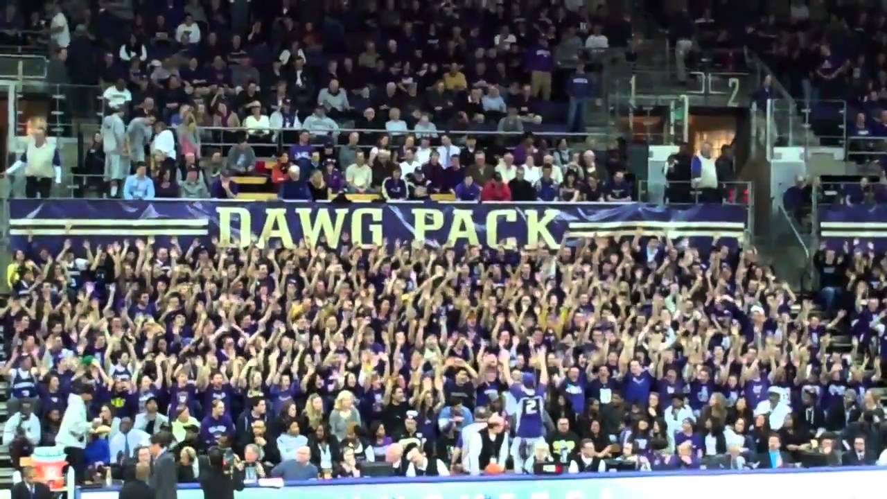 UW Dawg Pack Roller Coaster YouTube