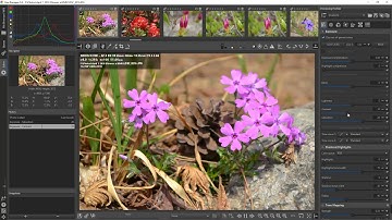 What is contrast? Editing photos in RawTherapee 5.8 | Prof. Rushan Ziatdinov | Keimyung University