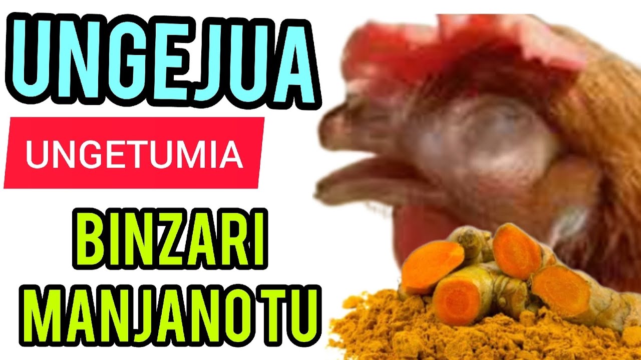 Ungejua ungetumia Binzari manjano Tu kwa kuku wako/ How turmeric powder Cures many diseases.