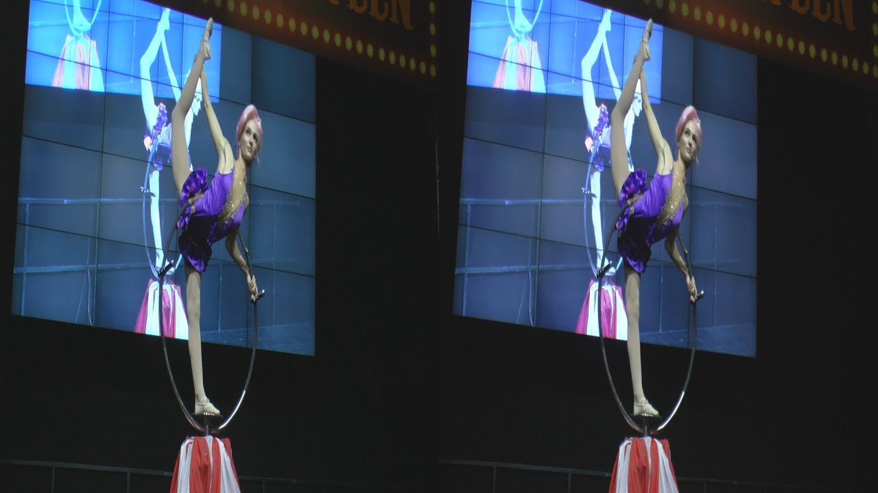 (3D) Fantacity circus - Contortionist acrobat /Starcon 2019/
