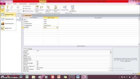 Cara membuat database, tabel, field, dan record pada Ms. Office Access