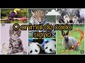 O Animal de cada signo -Mundo dos Signos