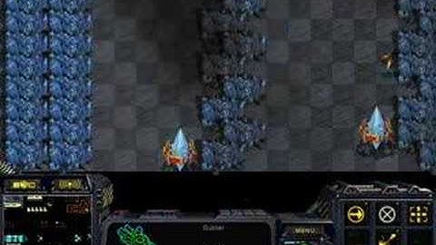 Can you do 20 tricks-Starcraft