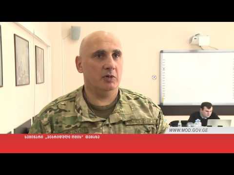 სემინარი  „ჰიბრიდული ომის“  თემაზე