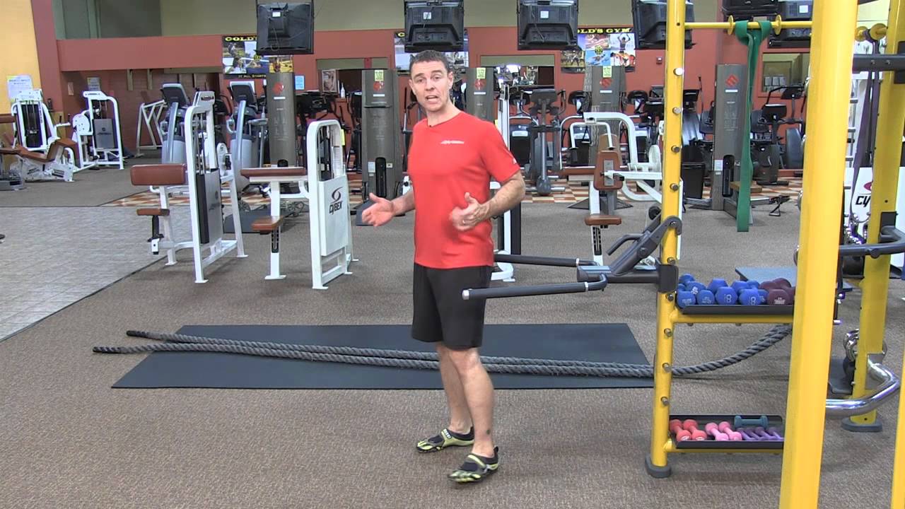 The Best Chest Exercise Dips Fitness & Exercise Tips YouTube