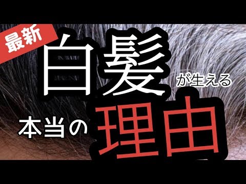 白髪の原因が解明?最新の研究結果も!【前編】4つのポイントで解説☆