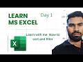 How to Sort and Filter Data in Excel | Beginner Tutorial