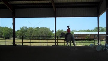 Rancho Meek - Dressage Transitions within the gait