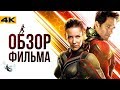 Мстители 3.5 - обзор фильма "Человек-Муравей и Оса"