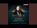 Miniature de la vidéo de la chanson Symphony In E Major, Wwv 35: Ii. Adagio Cantabile