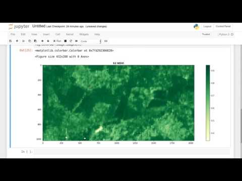 openEO Python client