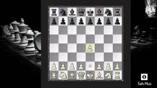 Šah i Šahovska taktika - Najvažnije Šahovske Pozicije i Ideje Ep.41