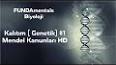 Genetik: Kalıtımın Bilimsel Temeli ile ilgili video