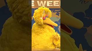 Best Muppet References on SNL