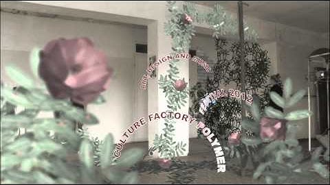 Polymer Festival Trailer 2012 (International English version)