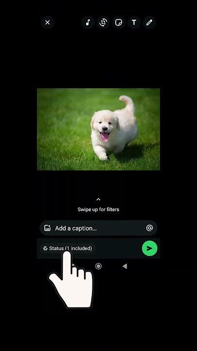 Don’t Want People Sharing Your WhatsApp Status? #howto #whatsapp #status