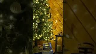 Cat Grabbed Penguin Decoration off a Christmas Tree